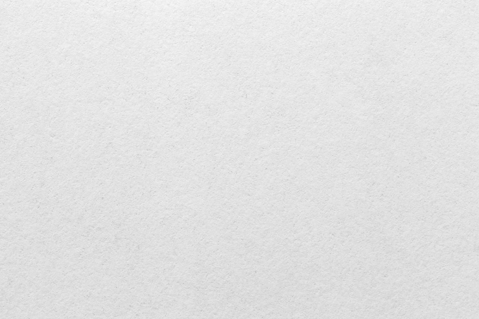 White wall background. A high resolution macro photograph