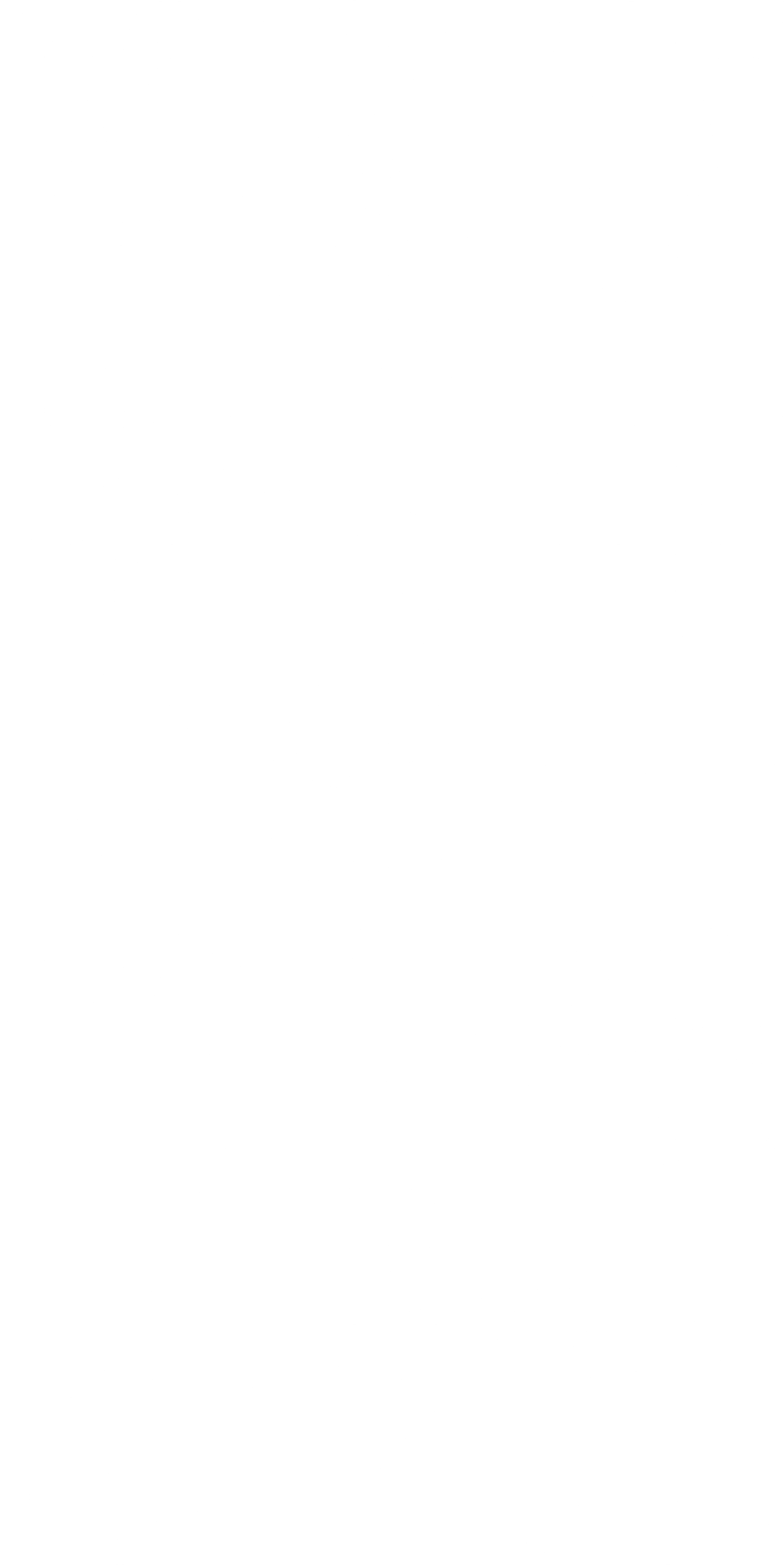 زخارف1